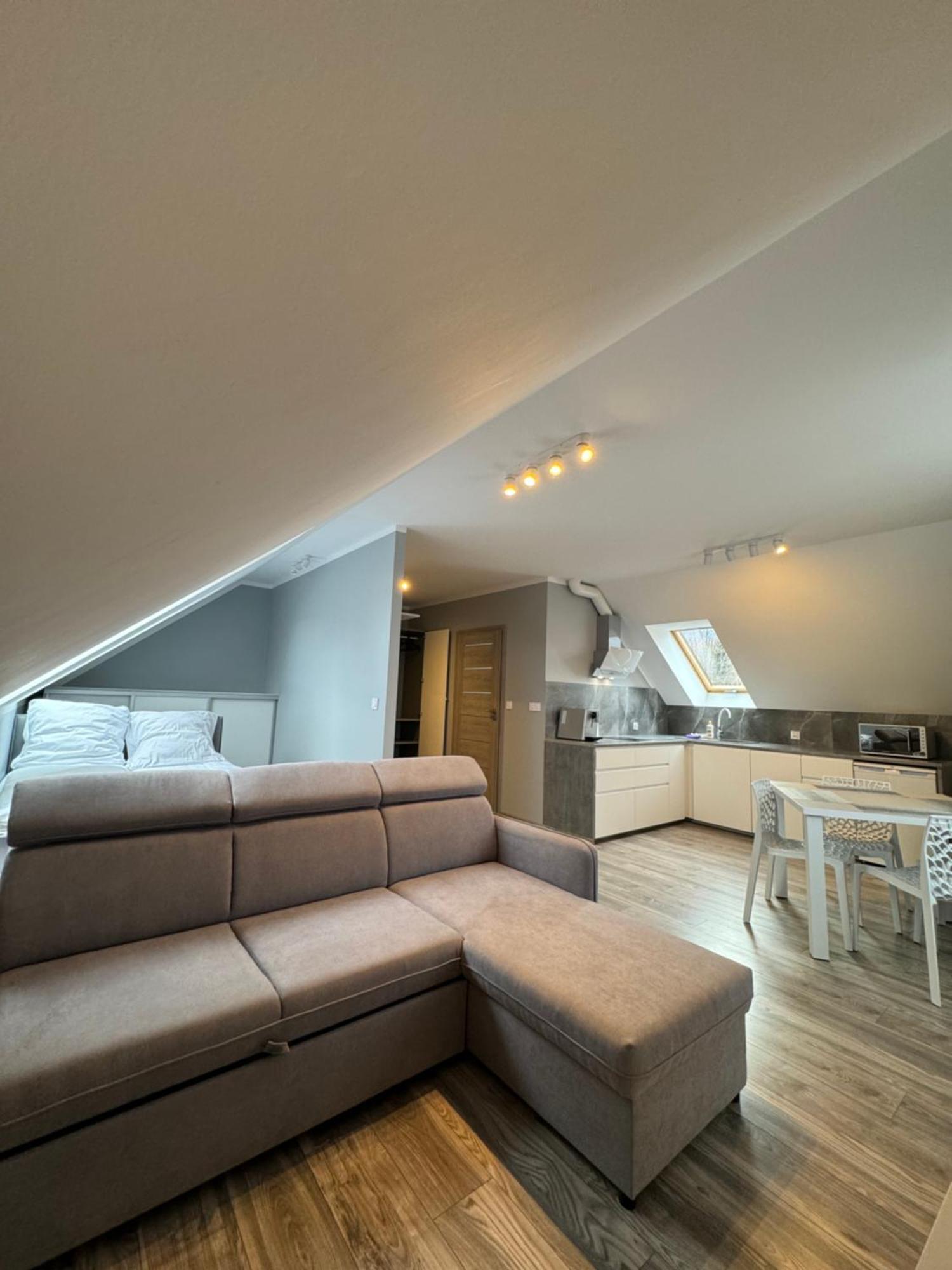 B2 Basen I Apartment Sosnówka